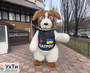 Rostovyi kostium Pes Patron 4 Дошка оголошень УХТИ