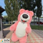 Medved kostyum 1 Дошка оголошень УХТИ