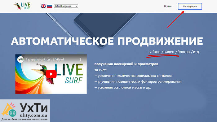 livesurf 1