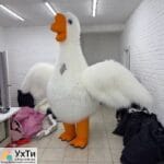 Надувной костюм Гусь обнимусь | Объявления УХТЫ Хмельник | naduv-23465