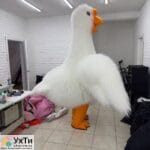 Надувной костюм Гусь обнимусь | Объявления УХТЫ Хмельник | naduv-23466