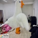 Надувной костюм Гусь обнимусь | Объявления УХТЫ Хмельник | naduv-23467