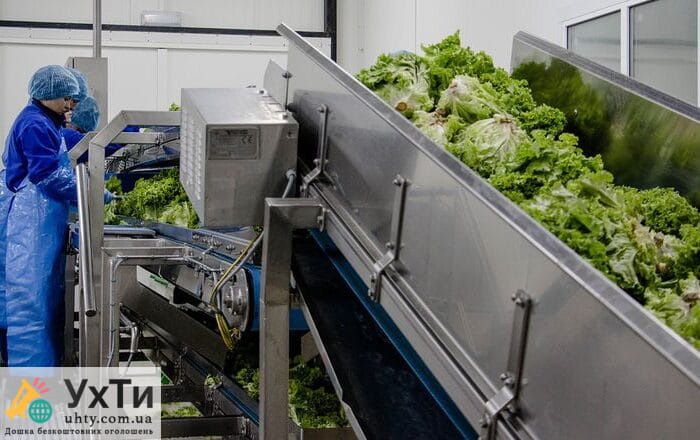 Для пары вблизи Варшавы Объявления УХТЫ Южноукраинск | mytty-23961