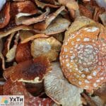 Красные мухоморы | Объявления УХТЫ Вараш | 20240-24332