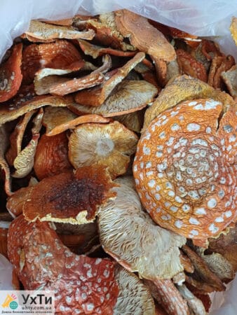 Красные мухоморы | Объявления УХТЫ Вараш | 20240-24332