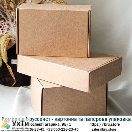 Self-assembled brown cardboard boxes from the manufacturer - Brussonet Company | Advertisements UHTI Horishni Plavni | karto-24834