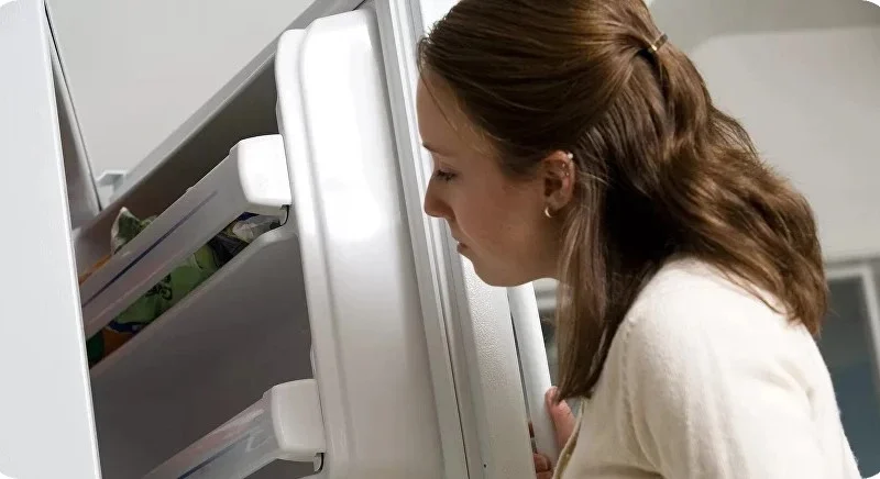 Разморозка холодильника: важные моменты и возможные проблемы Объявления УХТЫ | 66ac6-26060