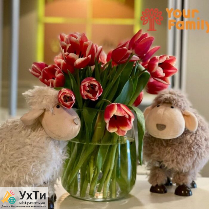 Прийом імунолога в медичному центрі Your family. | УХТИ | 0-29535