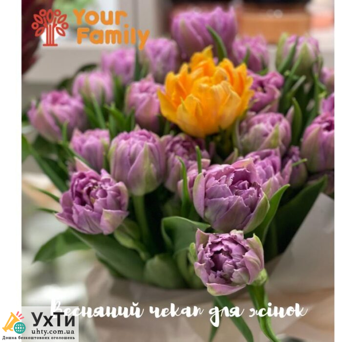 Весняний Check-up для жінок в медичному центрі Your baby.  | УХТИ | 22222-29746