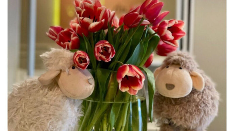 Immunologist's appointment at the Your family medical center. | Announcements of UHTI Energodar | dyzaj-29524