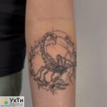 VEAN TATTOO: ПАТУ, ПИРСИНГ, ПЕРМАНЕНТ, УДАЛЕНИЕ | Объявления УХТЫ Золочев | img_6-29701