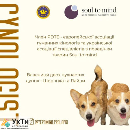 🐶 Консультація кінолога онлайн – порозумійтеся з вашим собакою! 🐾 | Оголошення УХТИ Херсон | image-29427