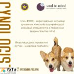 🐶 Консультація кінолога онлайн – порозумійтеся з вашим собакою! 🐾 | Оголошення УХТИ Охтирка | image-29485