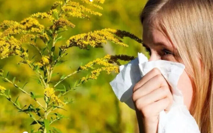 Consultation of an allergist at the Your Family medical center. | Advertisement of UHTI Shostka | photo-29470