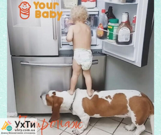 Патронаж новорожденных и детей раннего возраста в Your Family Объявления УХТЫ Энергодар | dyzaj-30007