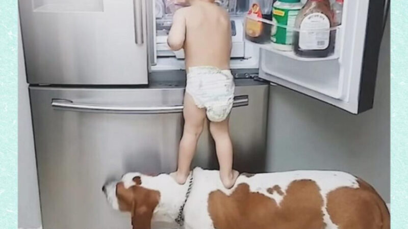 Patronage of newborns and young children in Your Family | Announcement of UHTI Energodar | dyzaj-30007