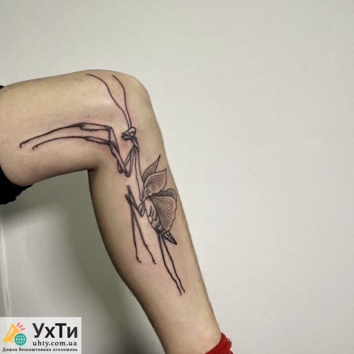 VEAN TATTOO: ТАТУ, ПІРСИНГ, ПЕРМАНЕНТ, ВИДАЛЕННЯ | УХТИ | masha-30195