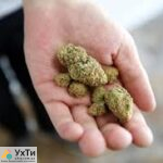 Bez nazvanyya Дошка оголошень УХТИ