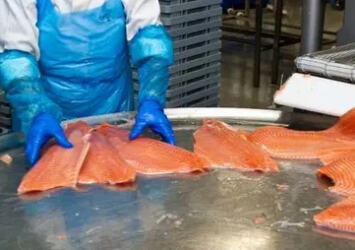 Шоковая заморозка, низкотемпературные камеры для переработки рыбы Объявления Бизнес и услуги, Оборудование УХТЫ Николаев | f1-33981