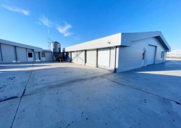 Свиноферма 1400 голов в Румынии | Объявления Бизнес и услуги, Оборудование УХТЫ Киев | uuid1-33866