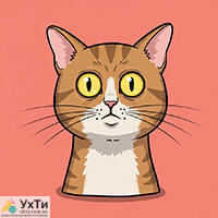Confused cat on 404 error page